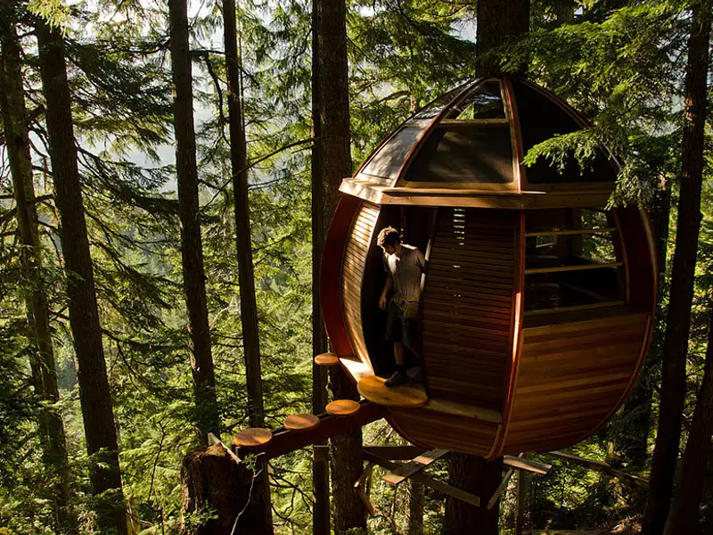 17 dintre cele mai uimitoare case in copaci din intreaga lume