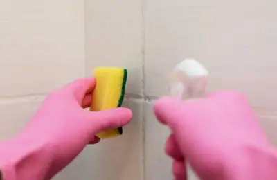 Effective Mold Removal Solutions for the Bathroom