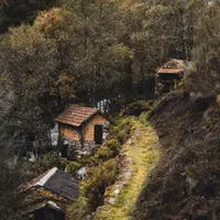 Spații Verzi Interioare: Cum să Îți Creezi un Sanctuar Natural Acasă