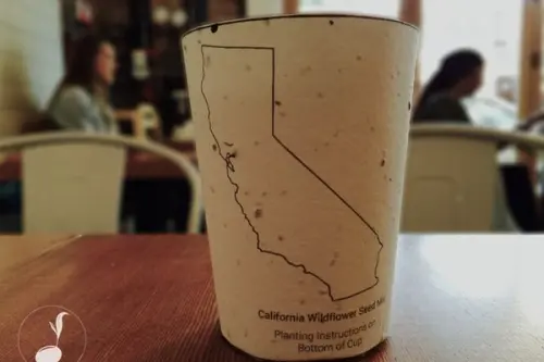 Pahar biodegradabil, bea o cafea = planteaza un copac