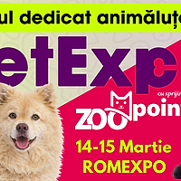 PetExpo 2026 – Două zile în care iubirea pentru animale devine spectacol