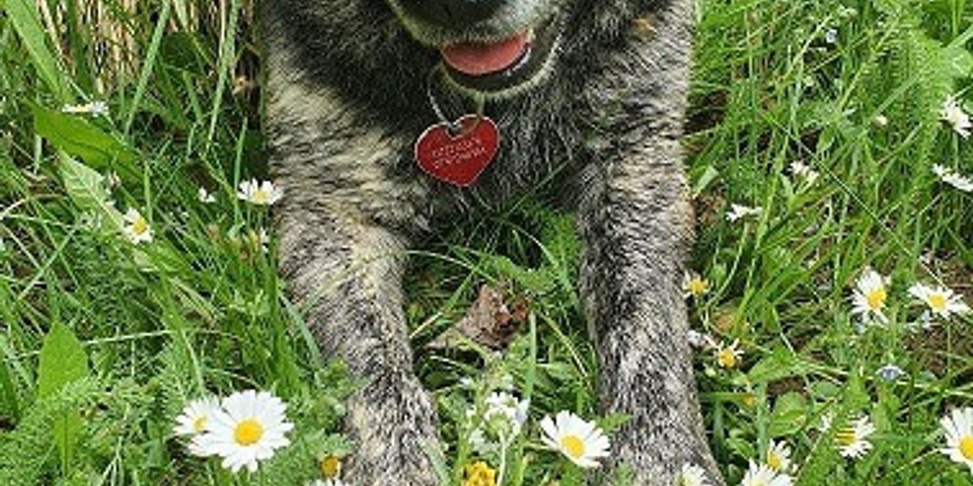 Câteva din motivele pentru care te sfătuiesc să cauți să petreci timp în natura!