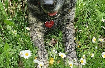 Câteva din motivele pentru care te sfătuiesc să cauți să petreci timp în natura!