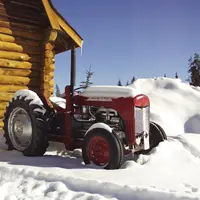 Cum sa iti pregatesti curtea pentru iarna