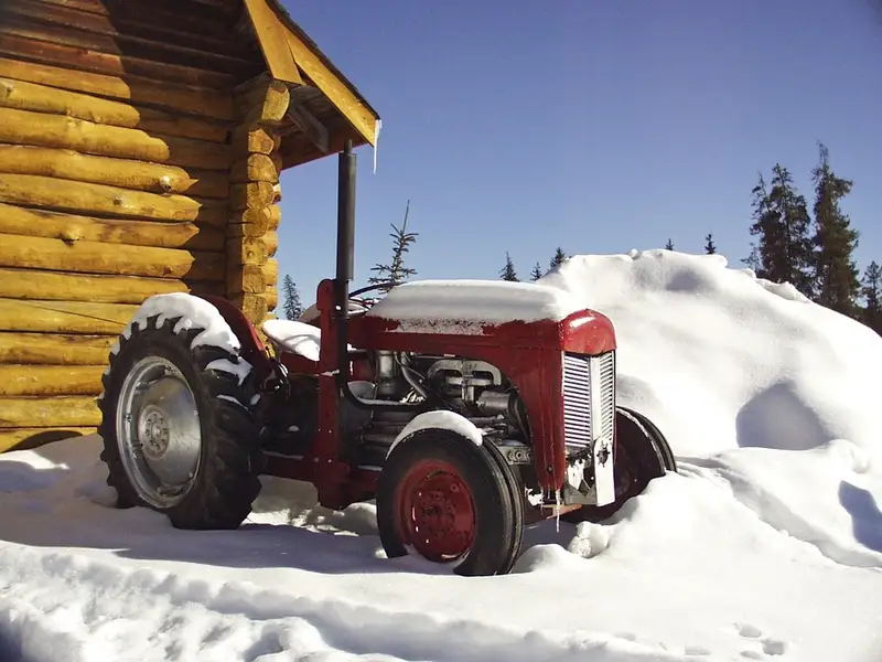 Cum sa iti pregatesti curtea pentru iarna