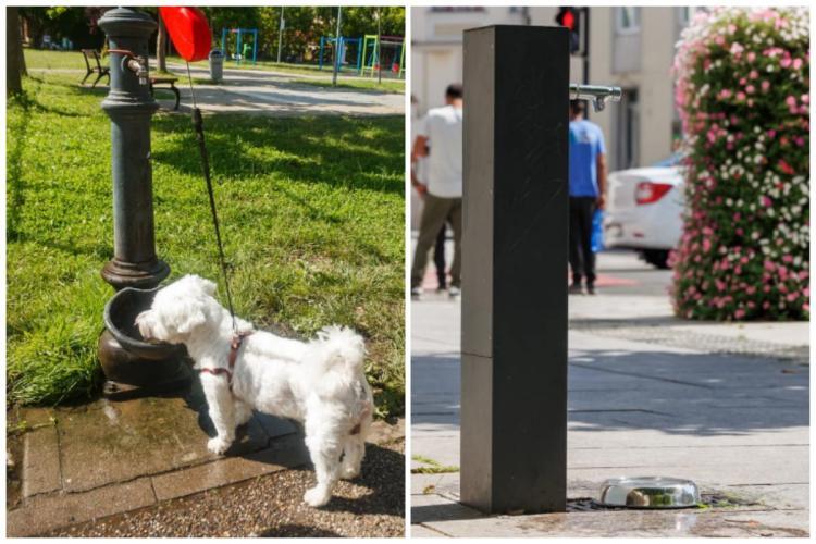 Cișmelele din zona centrală din Cluj-Napoca, adaptate pentru animalele de companie