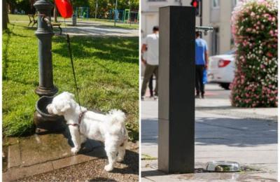 Cișmelele din zona centrală din Cluj-Napoca, adaptate pentru animalele de companie