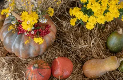 Cum Să Transformi Grădina de Toamnă într-o Oază de Culori