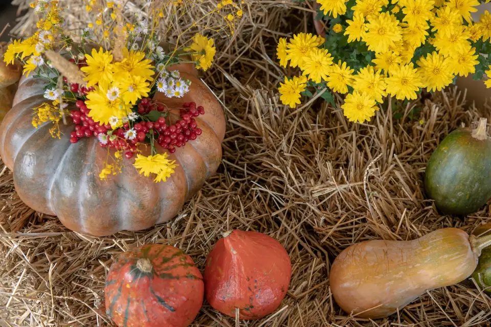 Turning Your Autumn Garden into a Colorful Oasis