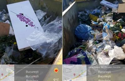 Piața de Flori din Sectorul 5 nu are autorizație de mediu