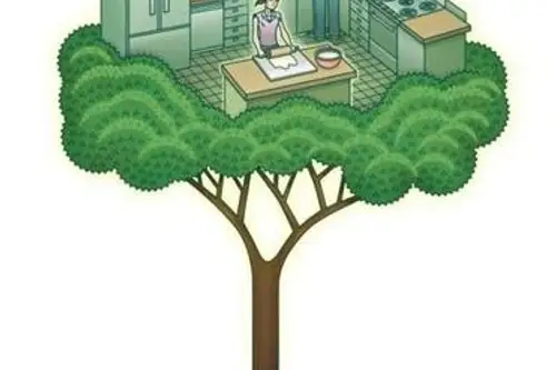 8 idei pentru o bucatarie mai prietenoasa cu mediul