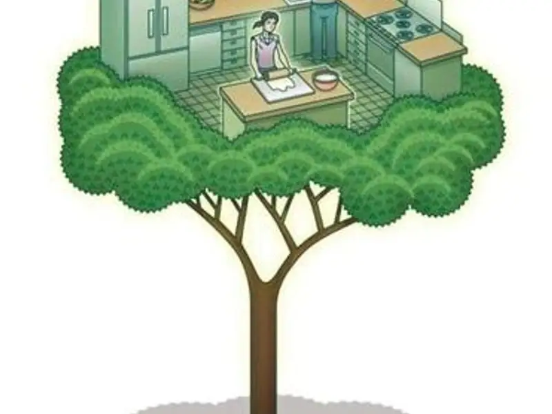 8 idei pentru o bucatarie mai prietenoasa cu mediul