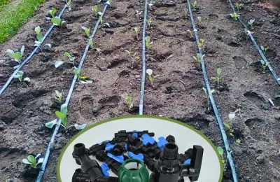 Steps for Installing a Drip Irrigation System
