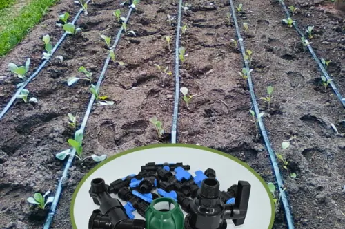 Pași pentru montarea unui sistem de irigare prin picurare