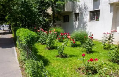 Beneficiile grădinilor comunitare și întreținerea spațiilor verzi