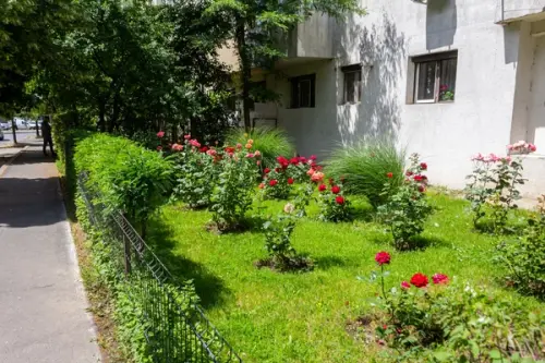 Beneficiile grădinilor comunitare și întreținerea spațiilor verzi