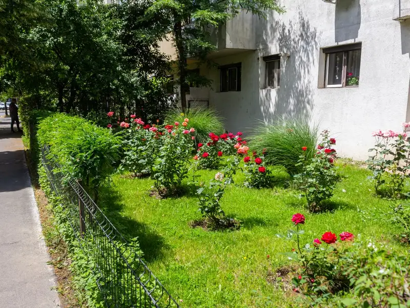 Beneficiile grădinilor comunitare și întreținerea spațiilor verzi