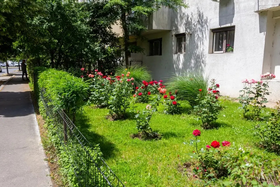 Benefits of Community Gardens and Green Space Maintenance