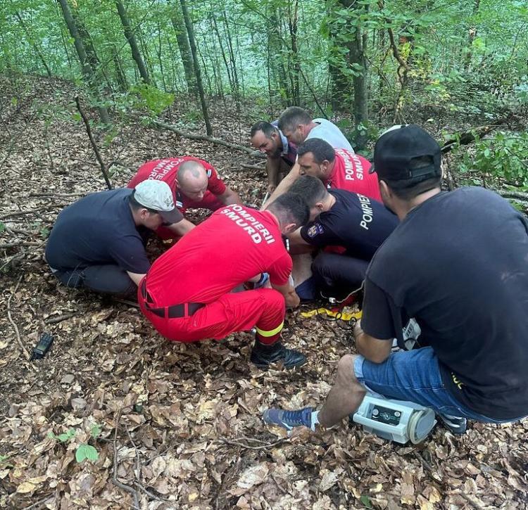 Grav incident în pădurea din Șomesu Cald. Un bărbat de 32 de ani a fost rănit după ce un copac a căzut peste el