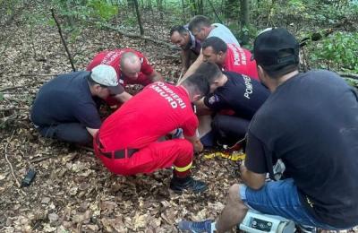 Grav incident în pădurea din Șomesu Cald. Un bărbat de 32 de ani a fost rănit după ce un copac a căzut peste el