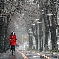 Un val de aer polar lovește România în luna martie. Când se schimbă radical vremea