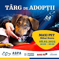 Primul târg de adopții ASPA din 2025 va avea loc sâmbătă, 8 februarie, la Maxi Pet Mihai Bravu!