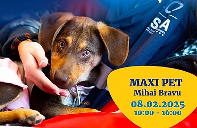 Primul târg de adopții ASPA din 2025 va avea loc sâmbătă, 8 februarie, la Maxi Pet Mihai Bravu!