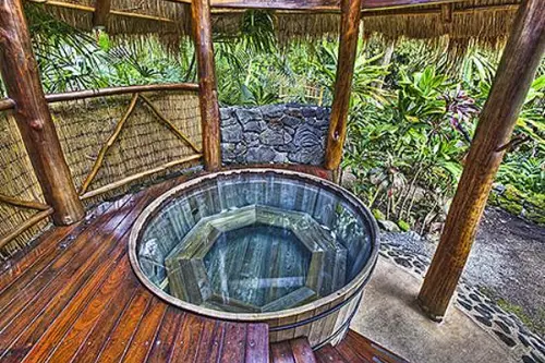 8 variante de cazi pentru gradina ta