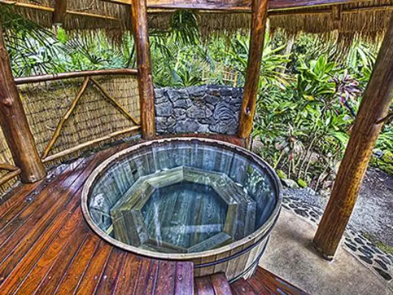 8 variante de cazi pentru gradina ta