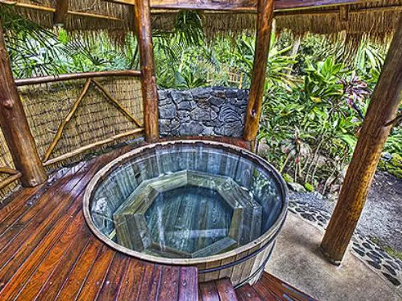 8 variante de cazi pentru gradina ta