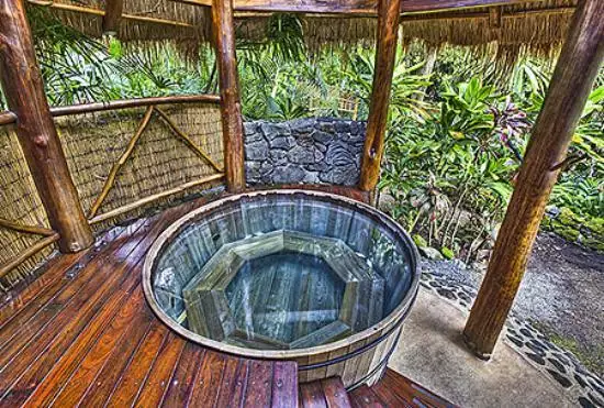 8 variante de cazi pentru gradina ta