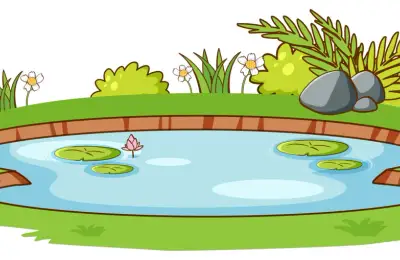 Integrarea unui iaz sau a unei fântâni în designul grădinii: Beneficiile și aspectele de luat în considerare atunci când dorești să adaugi un element acvatic în spațiul verde.