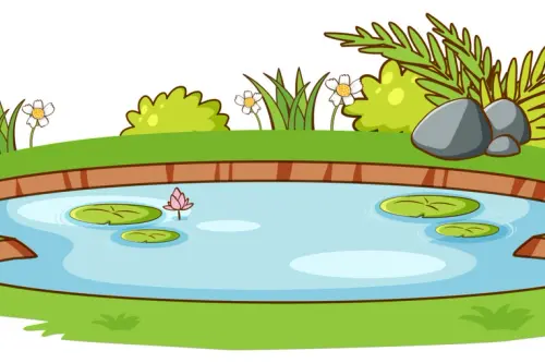 Integrarea unui iaz sau a unei fântâni în designul grădinii: Beneficiile și aspectele de luat în considerare atunci când dorești să adaugi un element acvatic în spațiul verde.