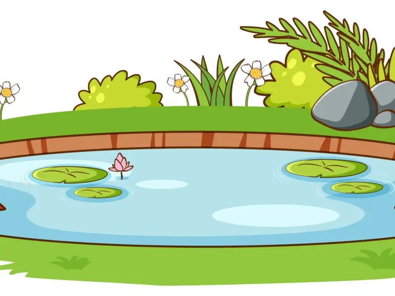 Integrarea unui iaz sau a unei fântâni în designul grădinii: Beneficiile și aspectele de luat în considerare atunci când dorești să adaugi un element acvatic în spațiul verde.