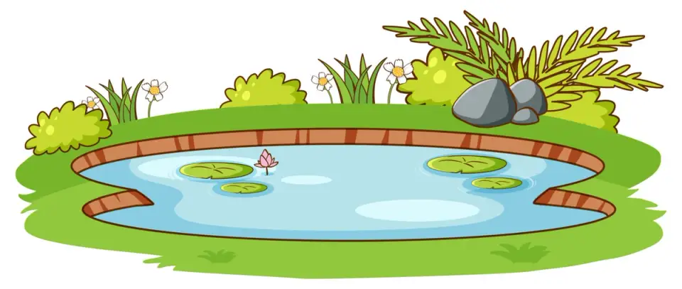 Integrating a Pond or Fountain into Garden Design: Benefits and Considerations for Adding an Aquatic Element to Your Green Space
