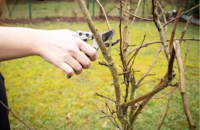 Spring Cleaning Begins in Cities