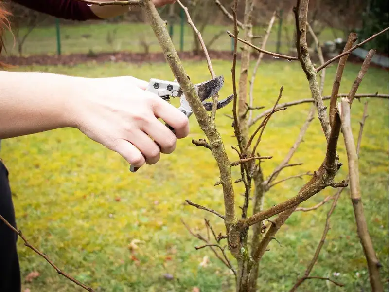 Începe curățenia de primăvară în orașe