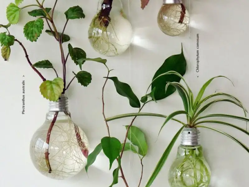 18 modalitati de a personaliza peretii casei