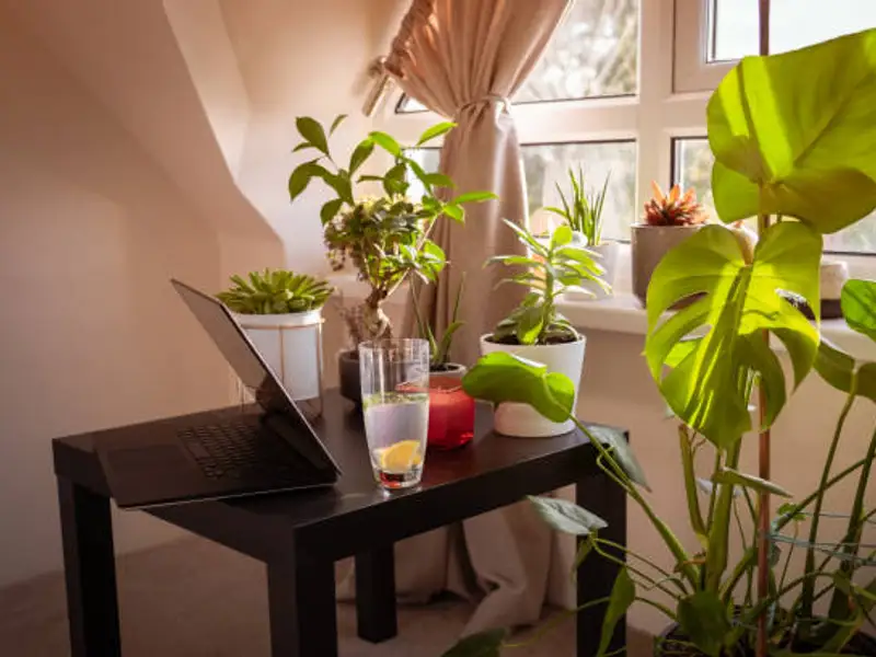 Cum aduci natura în mansarda ta