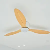 Dispozitive de răcorire a casei în afară de aparatul de aer condiționat