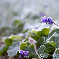Prognoza meteo, 9 ianuarie. Temperaturile continuă să uimească. Unde vor fi maxime de 18 grade