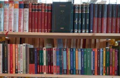 Cele mai întâlnite 4 teme din literatura clasică