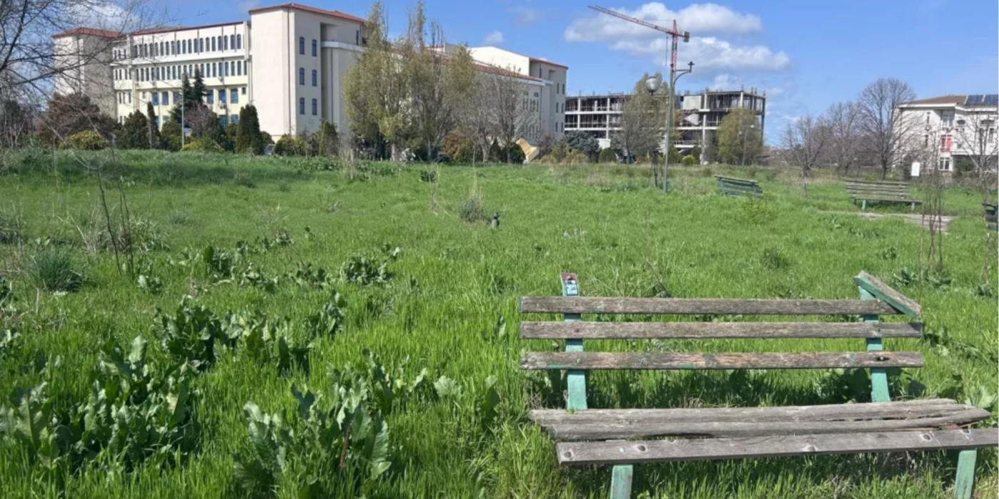 Universitatea „Ovidius”: O graniță invizibilă între splendoare și paragină. Cine este vinovat de „jungla” din fața campusului?