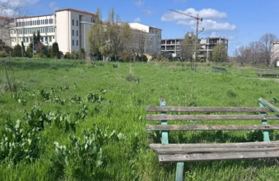 Universitatea „Ovidius”: O graniță invizibilă între splendoare și paragină. Cine este vinovat de „jungla” din fața campusului?