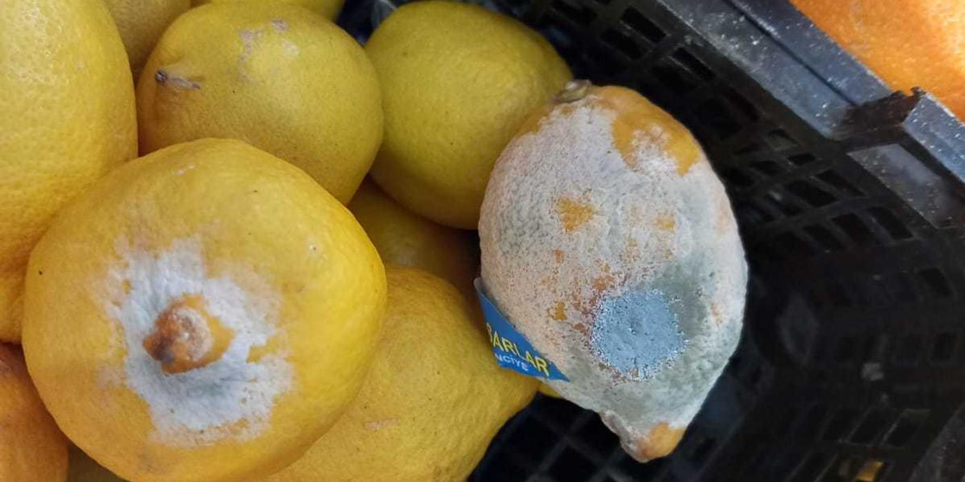 Comisarii ANPC au dat amenzi de peste 5 milioane de lei în 500 de magazine aparţinând lanţului Mega Image, în ultima lună şi jumătate / Preşedinte ANPC: La ei acasă pot să respecte drepturile consumatorilor, la noi pare că nu FOTO