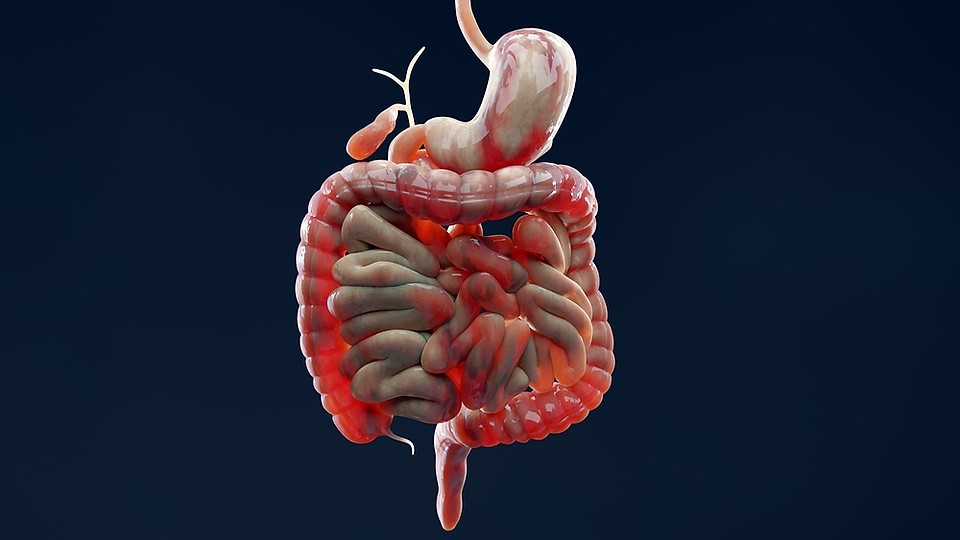 Bolile inflamatorii intestinale și rolul proctologiei în diagnostic și tratament