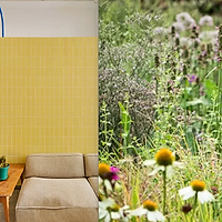 Butter Yellow și Wildflower: două trenduri home & deco de vară pe care merită să le adopți