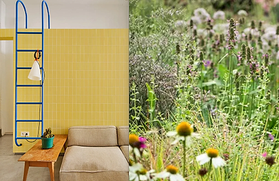 Butter Yellow și Wildflower: două trenduri home & deco de vară pe care merită să le adopți