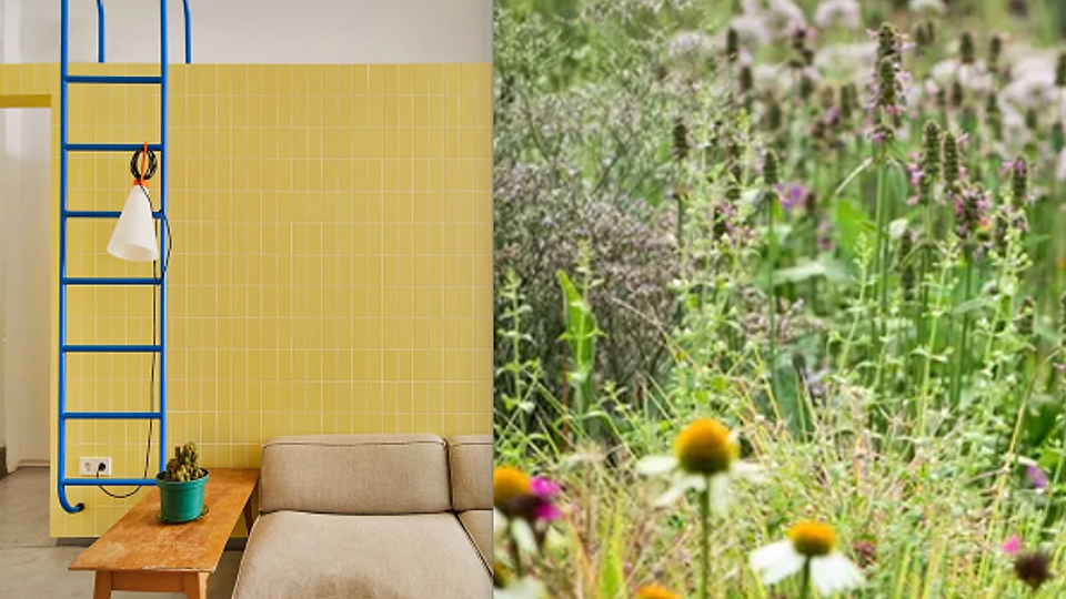 Butter Yellow și Wildflower: două trenduri home & deco de vară pe care merită să le adopți