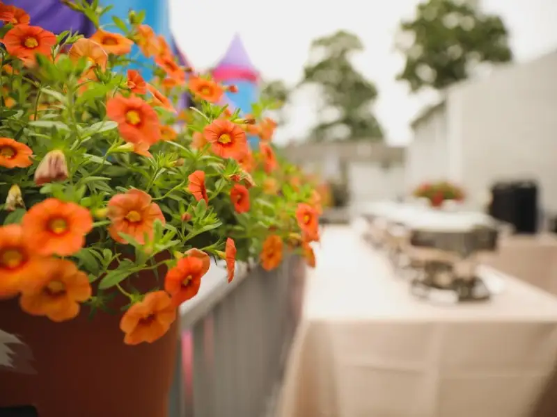 Cum să dai farmec terasei tale primăvara cu ajutorul ghivecelor cu flori